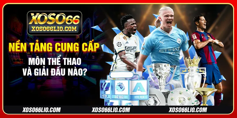 Nền tảng cung cấp môn thể thao và giải đấu nào?
