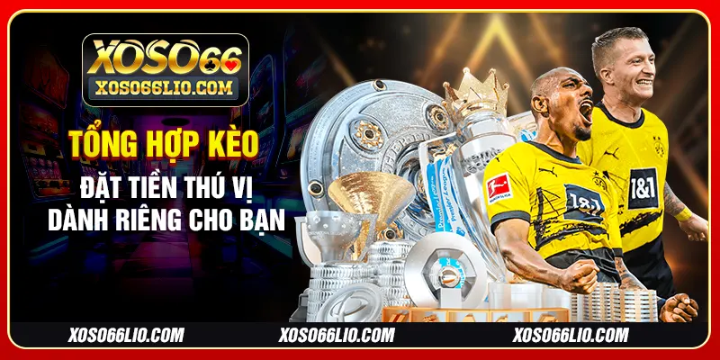 Tổng hợp kèo đặt tiền thú vị dành riêng cho bạn