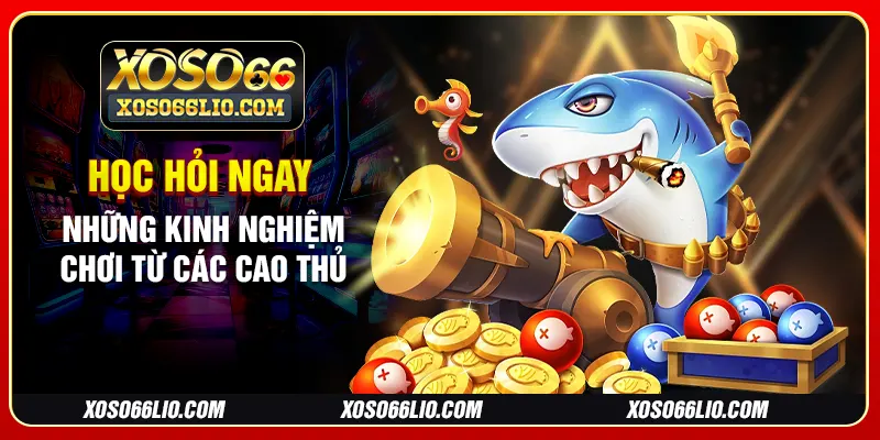 Học hỏi ngay những kinh nghiệm chơi từ các cao thủ