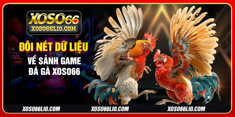 Đôi nét dữ liệu về sảnh game đá gà Xoso66