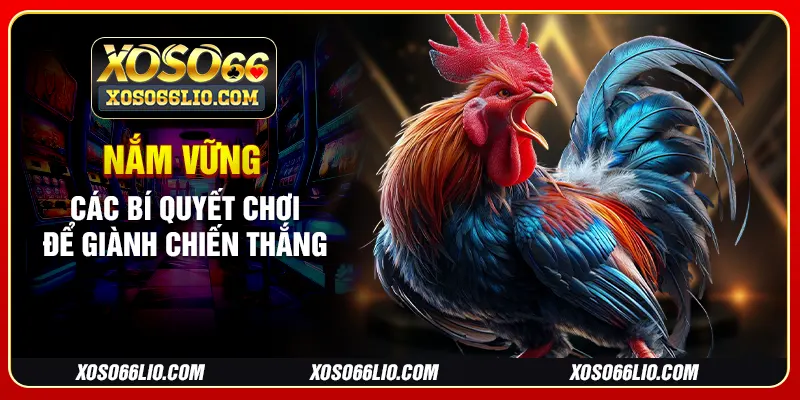 Nắm vững các bí quyết chơi để giành chiến thắng
